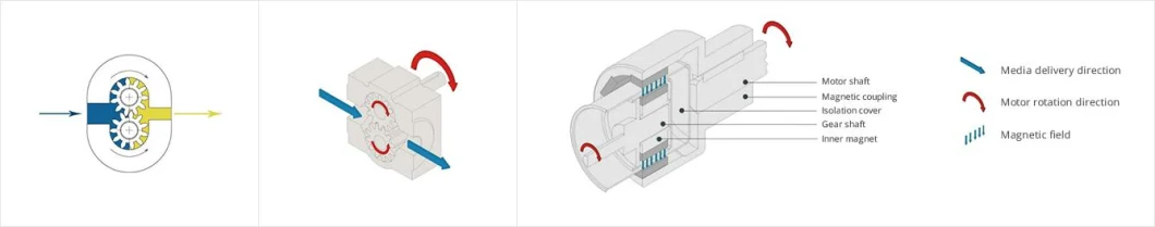 24V DC Sanitary Precision Gear Pump for Dialysate Pump